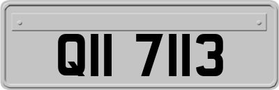 QII7113