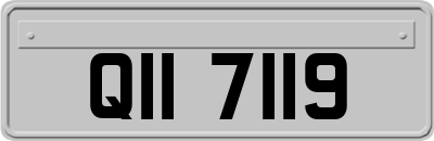 QII7119