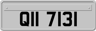QII7131