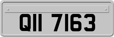 QII7163