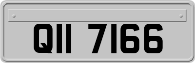 QII7166