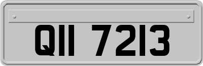 QII7213