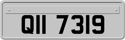 QII7319