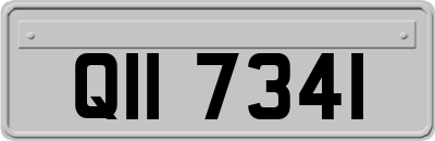 QII7341