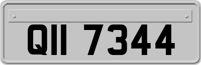 QII7344