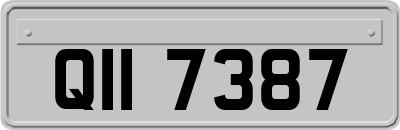 QII7387