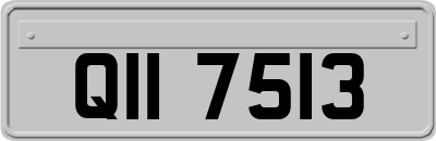 QII7513