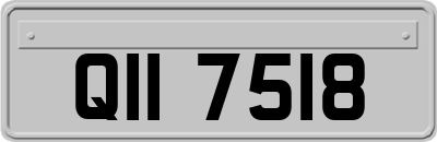 QII7518