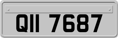 QII7687