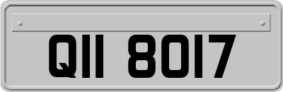 QII8017