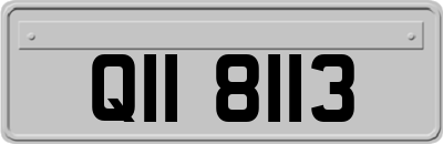 QII8113