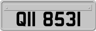 QII8531