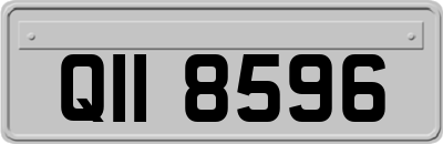 QII8596