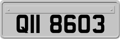 QII8603