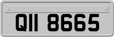 QII8665