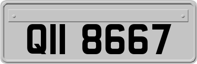 QII8667