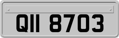 QII8703