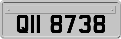 QII8738