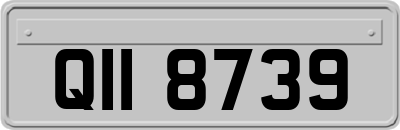 QII8739