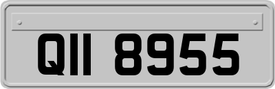 QII8955