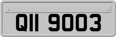 QII9003