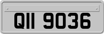 QII9036