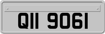 QII9061