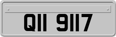 QII9117