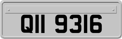 QII9316