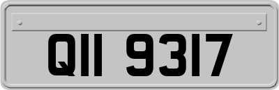 QII9317