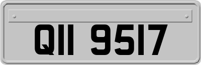QII9517