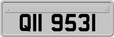 QII9531