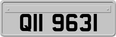QII9631