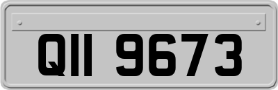 QII9673