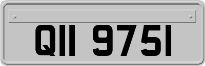 QII9751