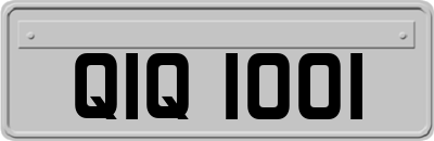 QIQ1001