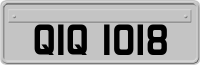 QIQ1018