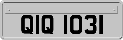 QIQ1031