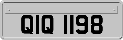 QIQ1198