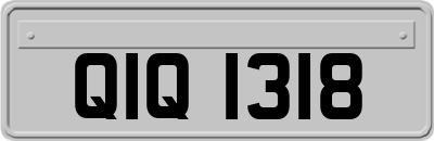 QIQ1318
