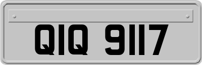 QIQ9117
