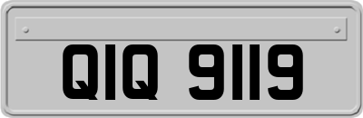 QIQ9119