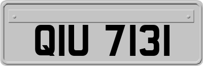 QIU7131