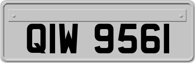 QIW9561