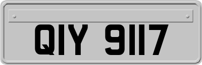 QIY9117