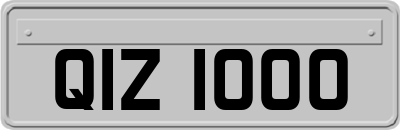 QIZ1000