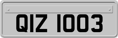 QIZ1003