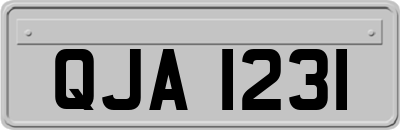 QJA1231