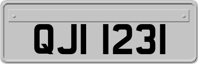 QJI1231