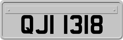 QJI1318